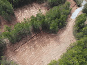 tree removal in west union