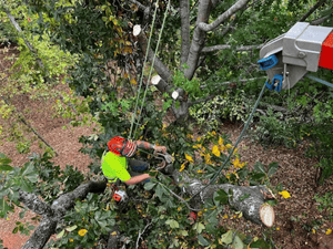 {{ custom_values.service_3 }} in {{custom_values.area_3})