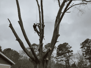 {{ custom_values.service_3 }} in {{custom_values.area_3})