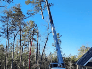 {{ custom_values.service_3 }} in {{custom_values.area_3})