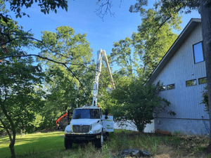 {{ custom_values.service_3 }} in {{custom_values.area_2})