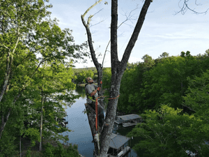 {{ custom_values.service_3 }} in {{custom_values.area_3})