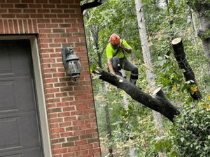 {{ custom_values.service_1 }} in {{custom_values.area_5})