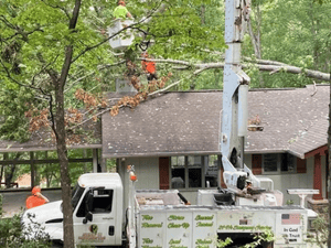 {{ custom_values.service_3 }} in {{custom_values.area_3})