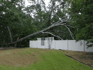 lot clearing in seneca