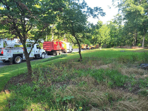 {{ custom_values.service_3 }} in {{custom_values.area_3})