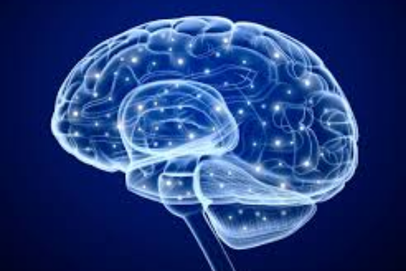 Replicate Yourself AI Neural Core