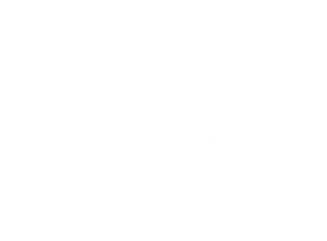 WinkBed mattress