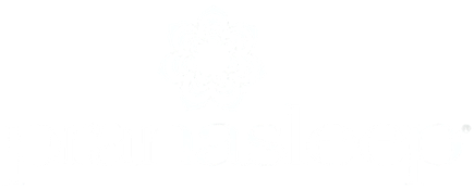 Prana Sleep mattress