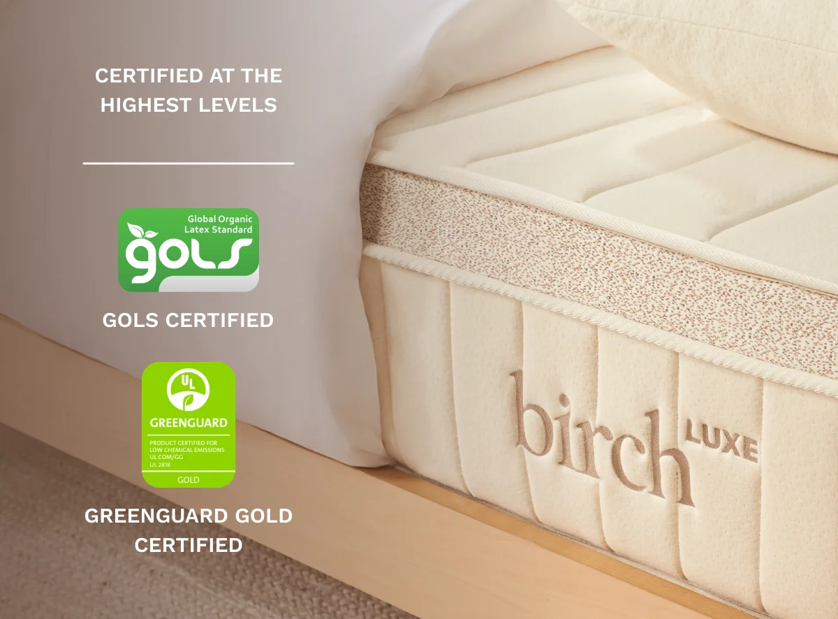Birch Luxe Natural Euro top profile