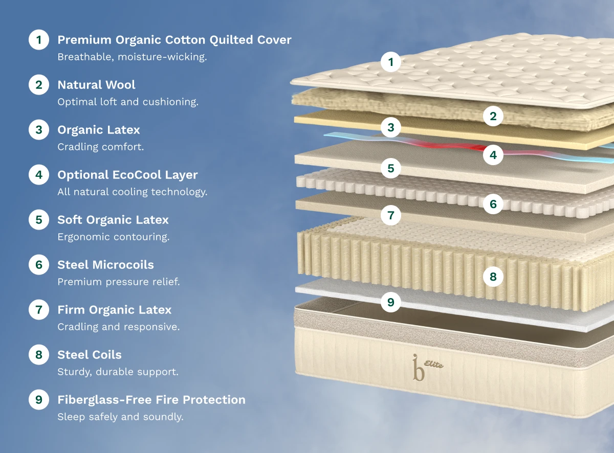 Birch Elite Natural microcoil layer