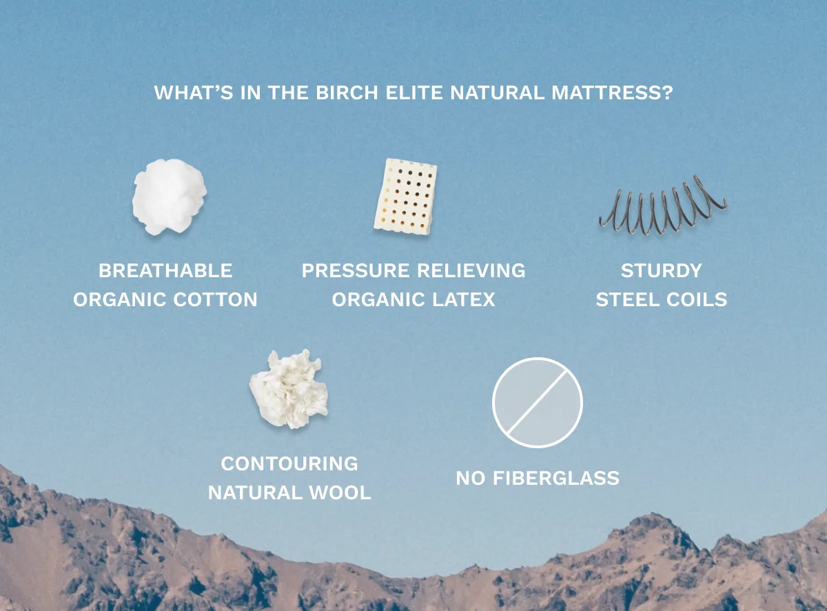 Birch Elite Natural triple organic latex layers