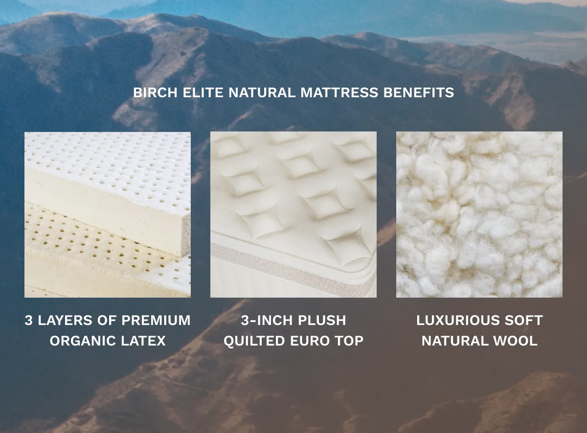 Birch Elite Natural plush Euro top detail