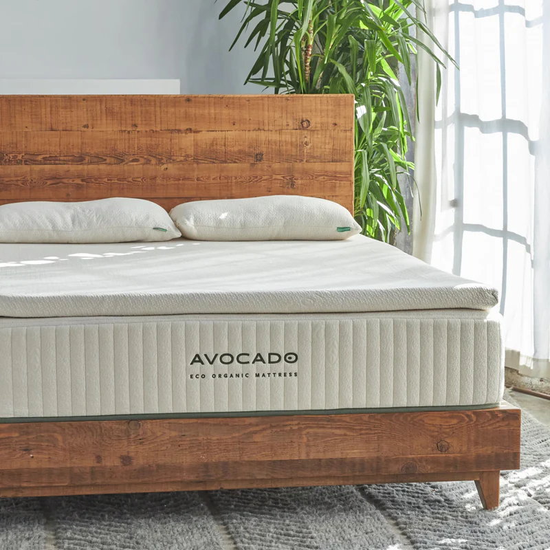 Avocado Eco Organic Topper Dunlop latex layer