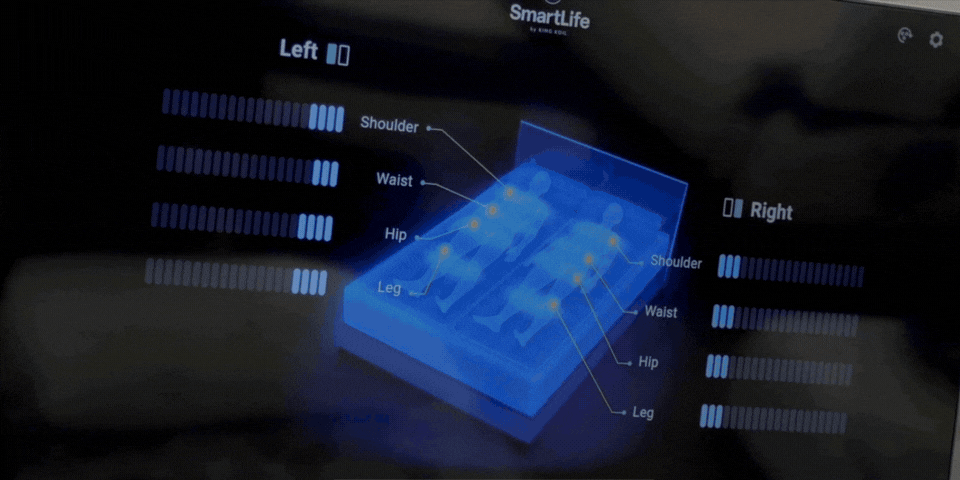 Lux Fit Step 2: See your pressure map — real-time pressure-point and spinal-alignment mapping while lying on a mattress