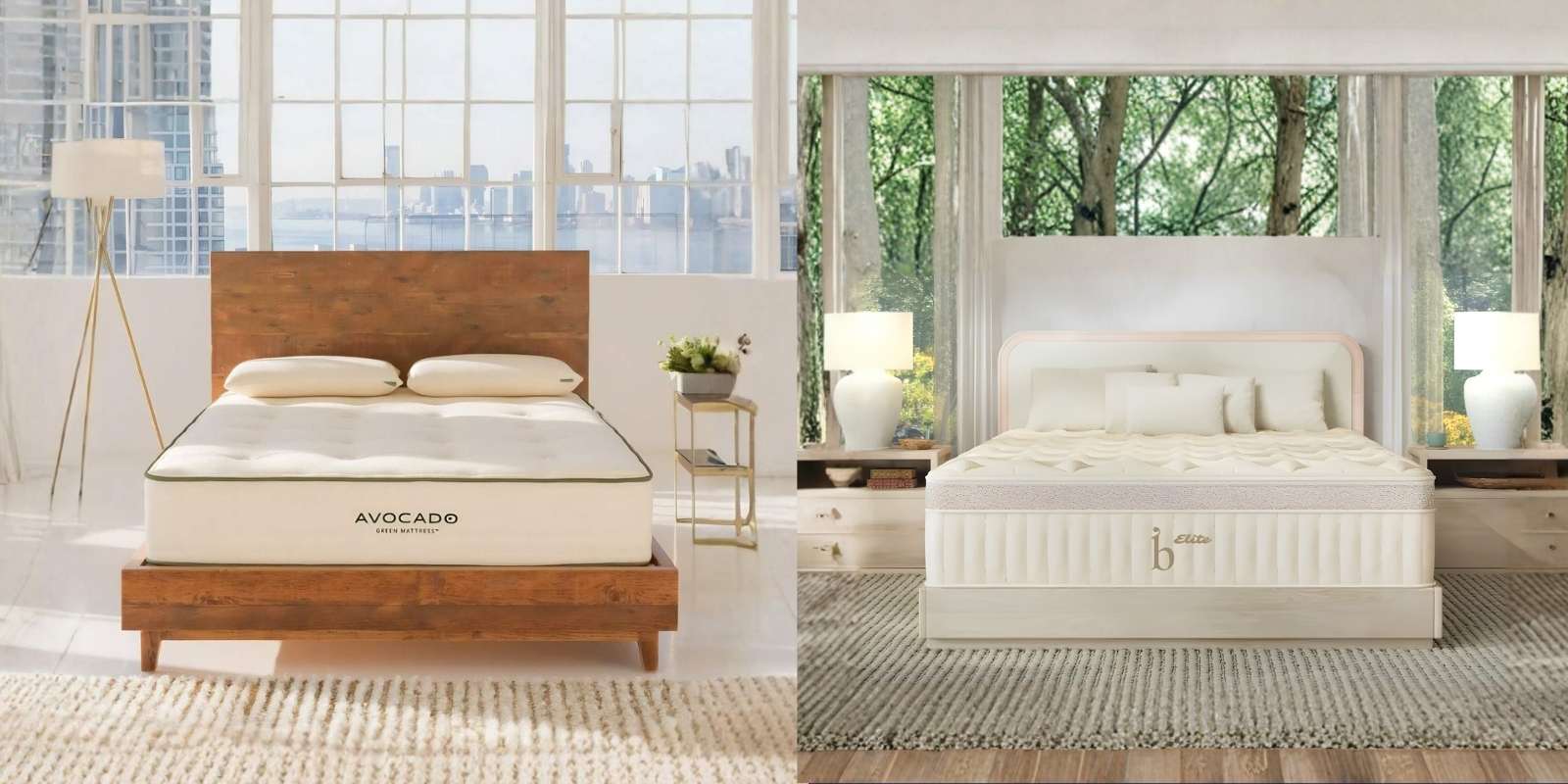 Avocado and Birch mattresses compared at the Mattress Lux showroom in Kennesaw, GA
