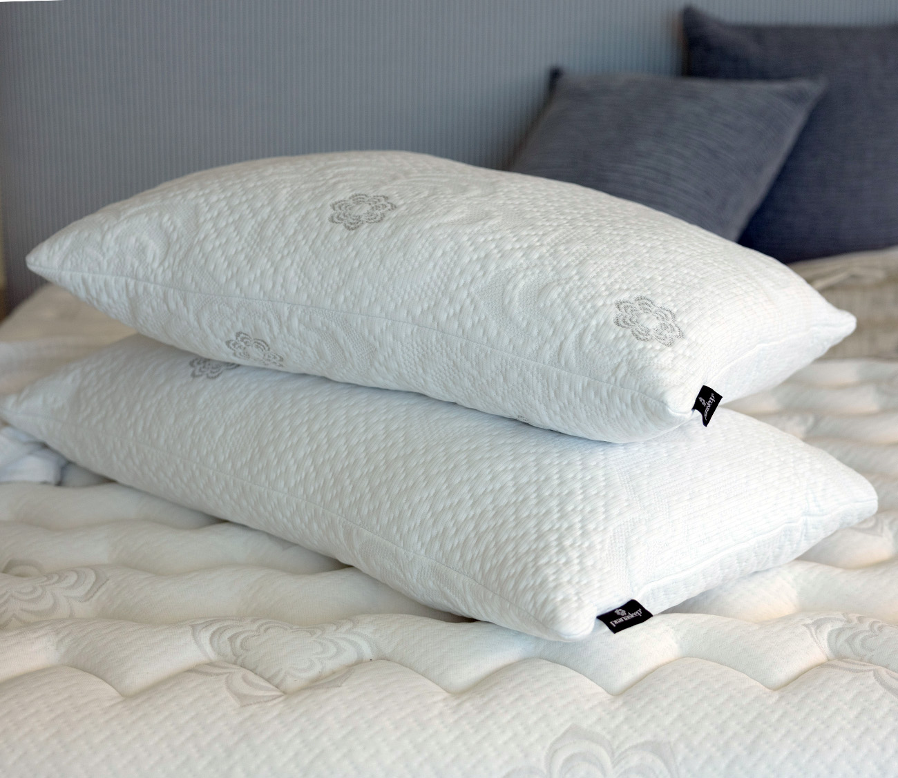 PranaSleep Dharma Adjustable Latex Pillow
