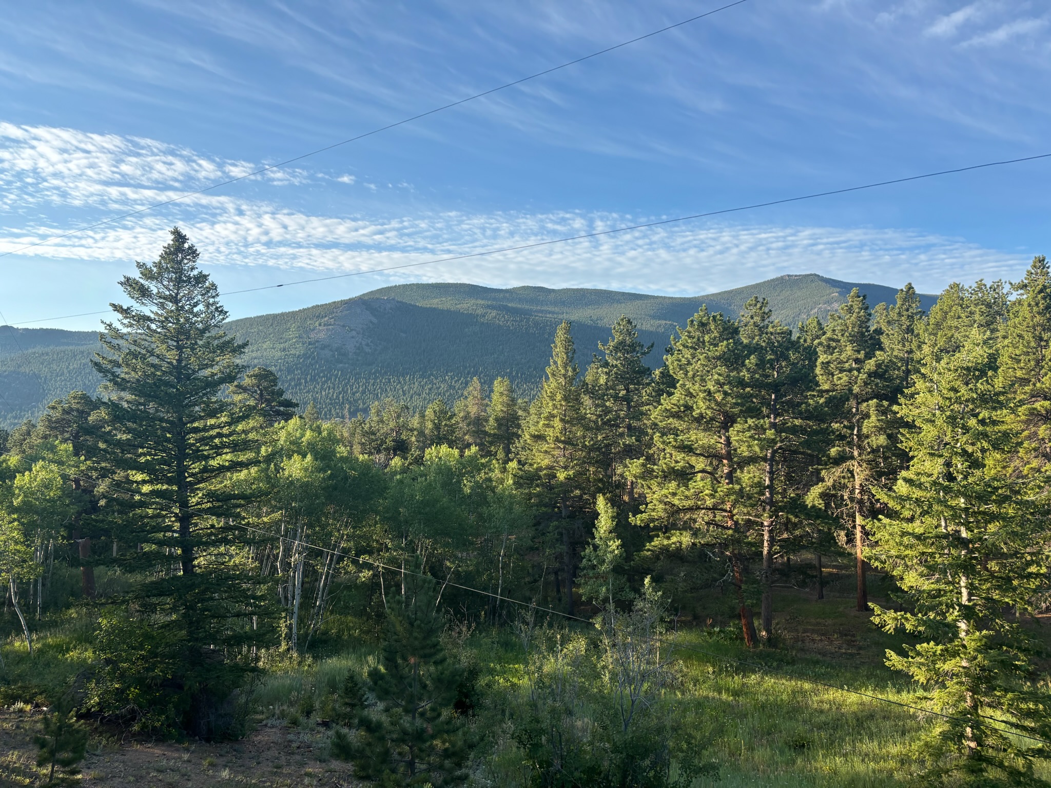 View from the back balcony