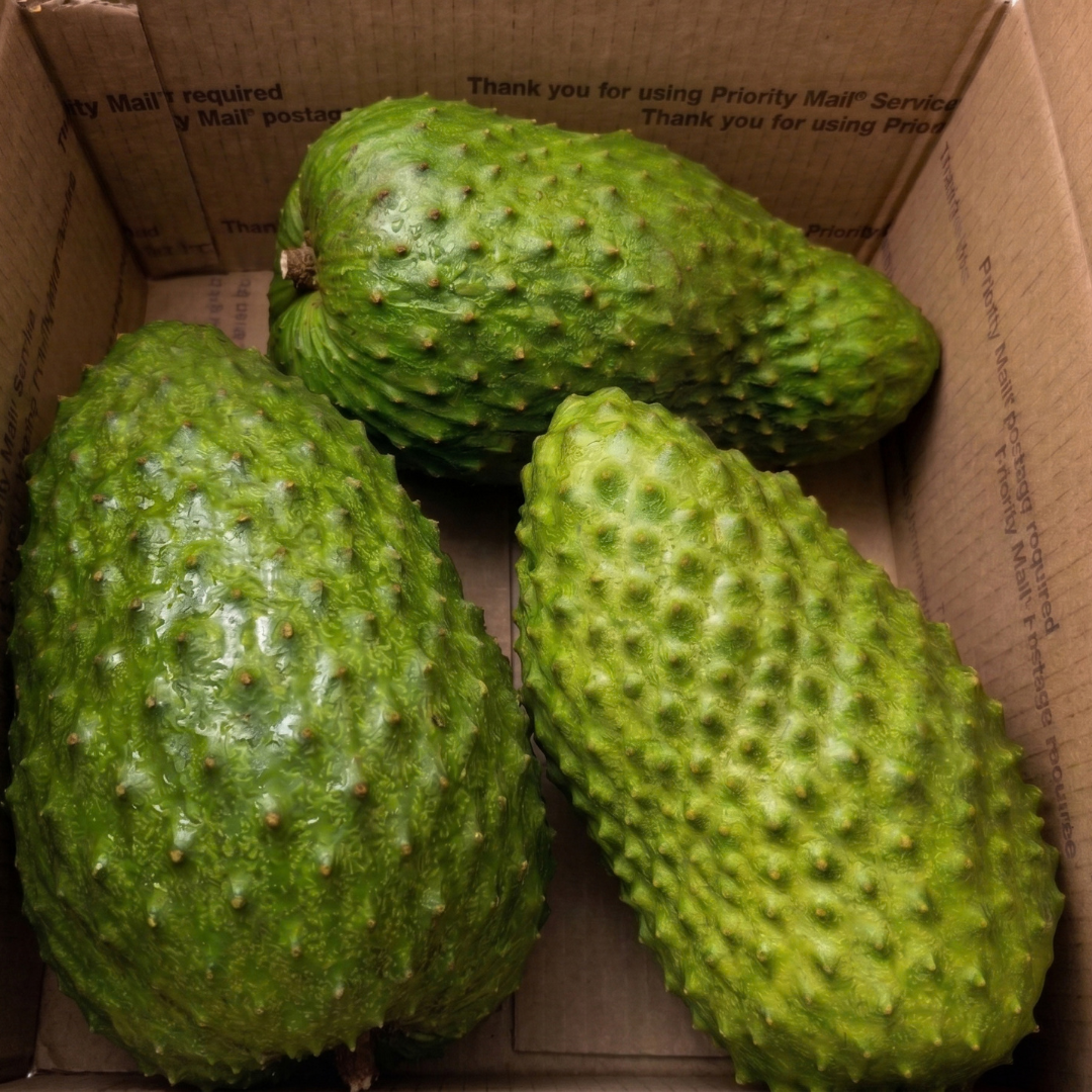 Fresh Soursop