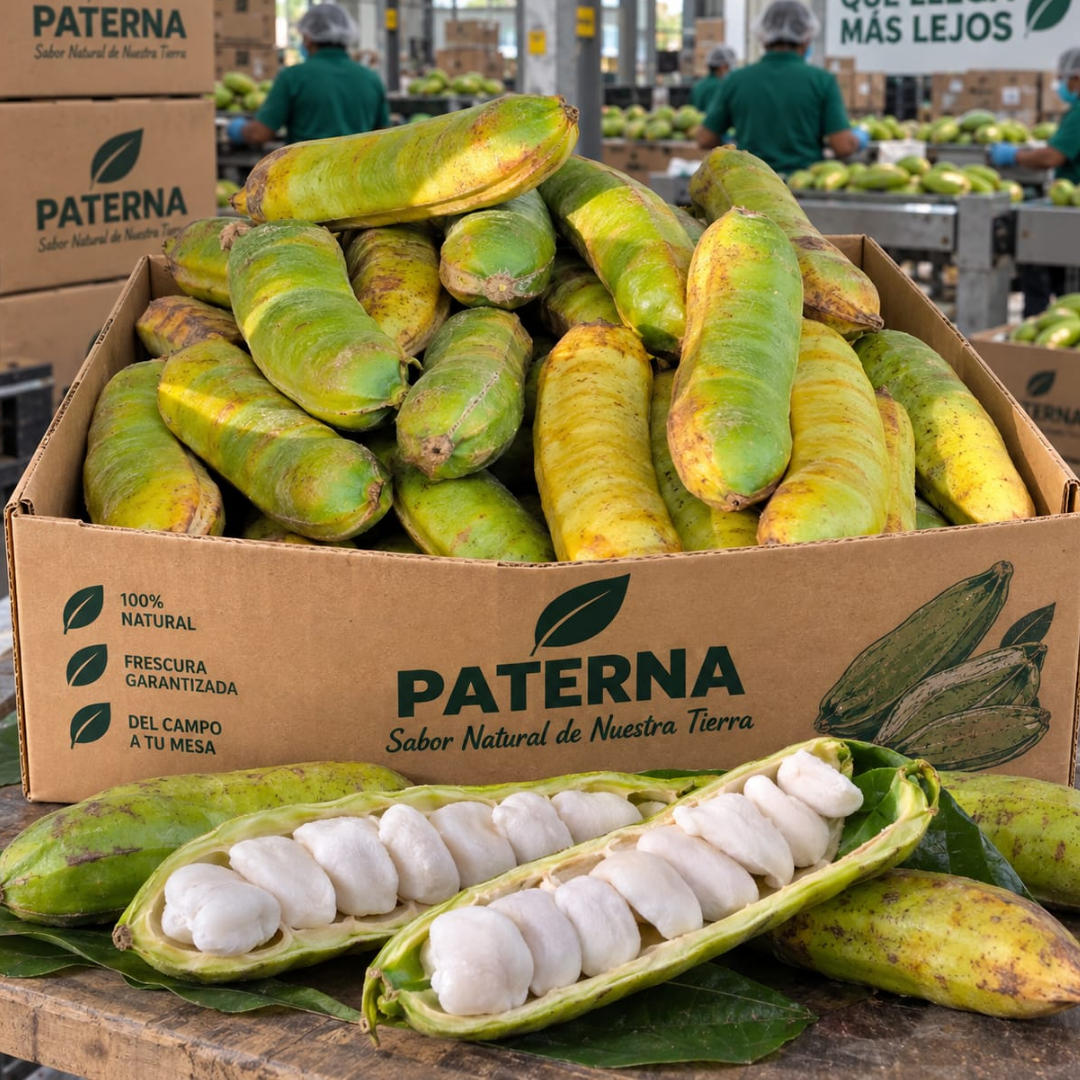 Paterna-Ice Cream Beans