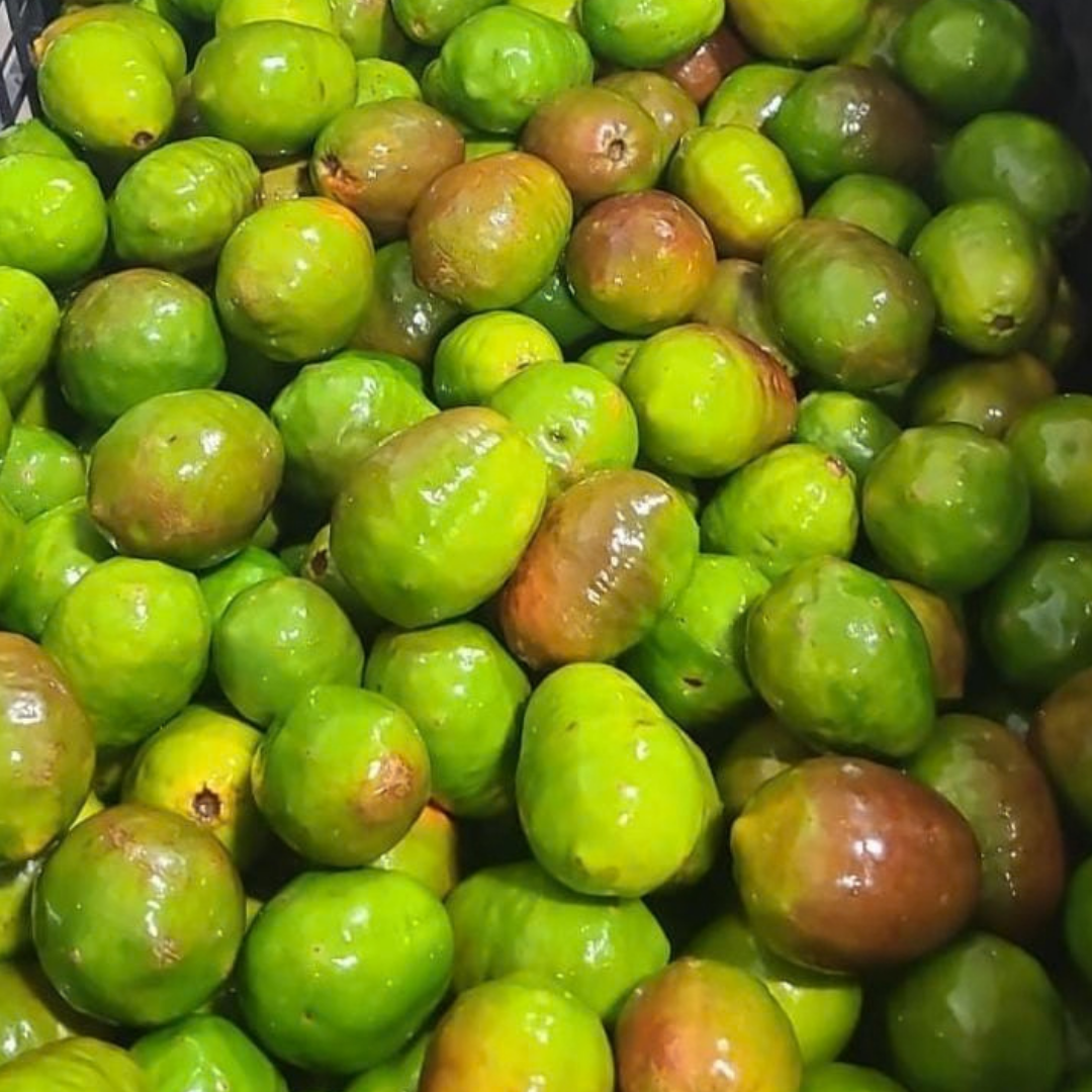 Jcorona