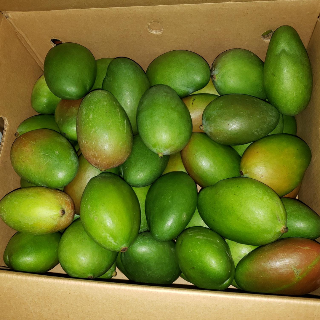 Green Mango