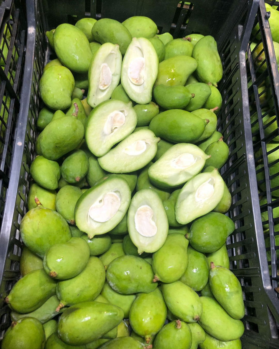 Baby Mango