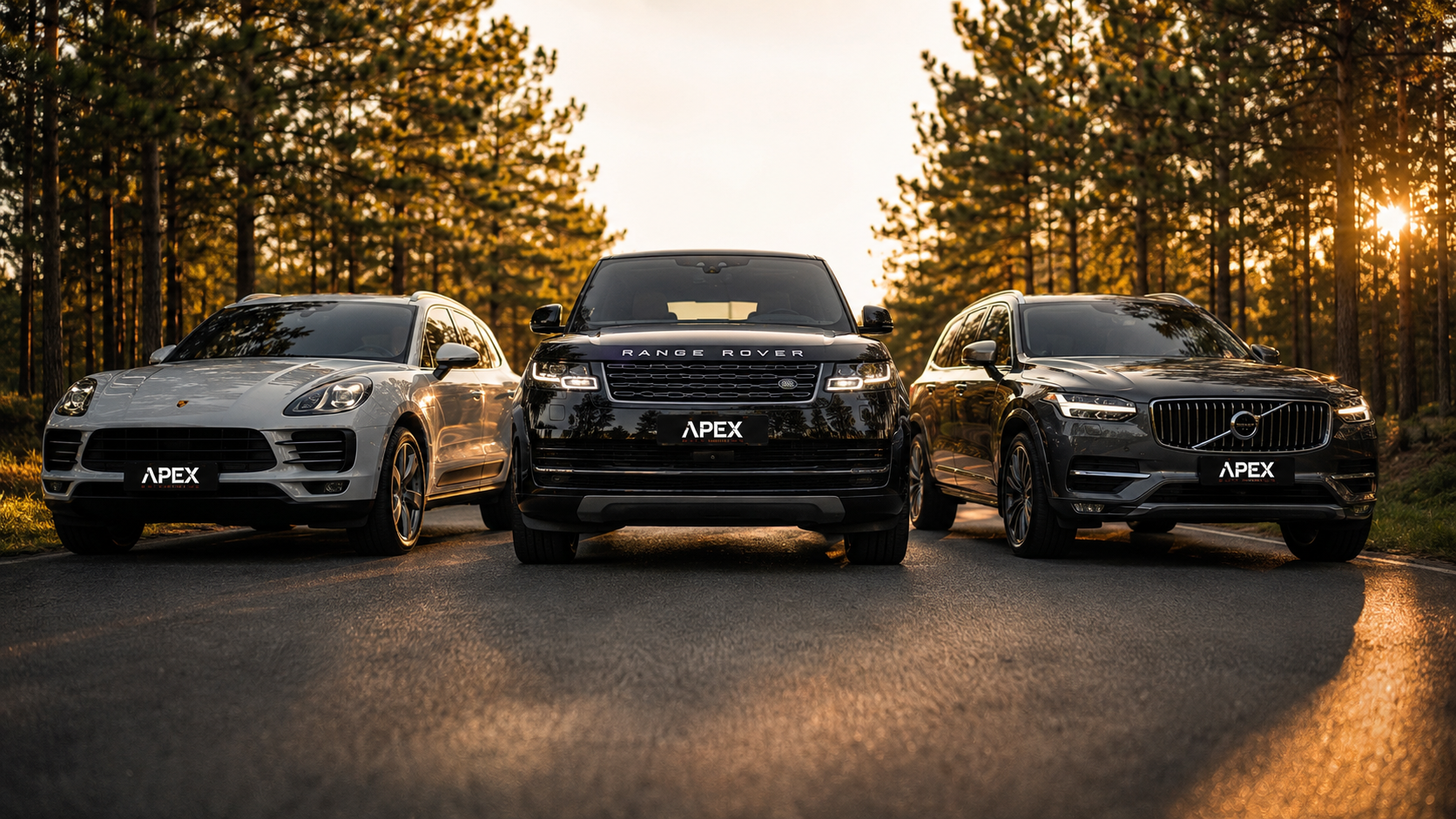 Apex Automotriz Concón