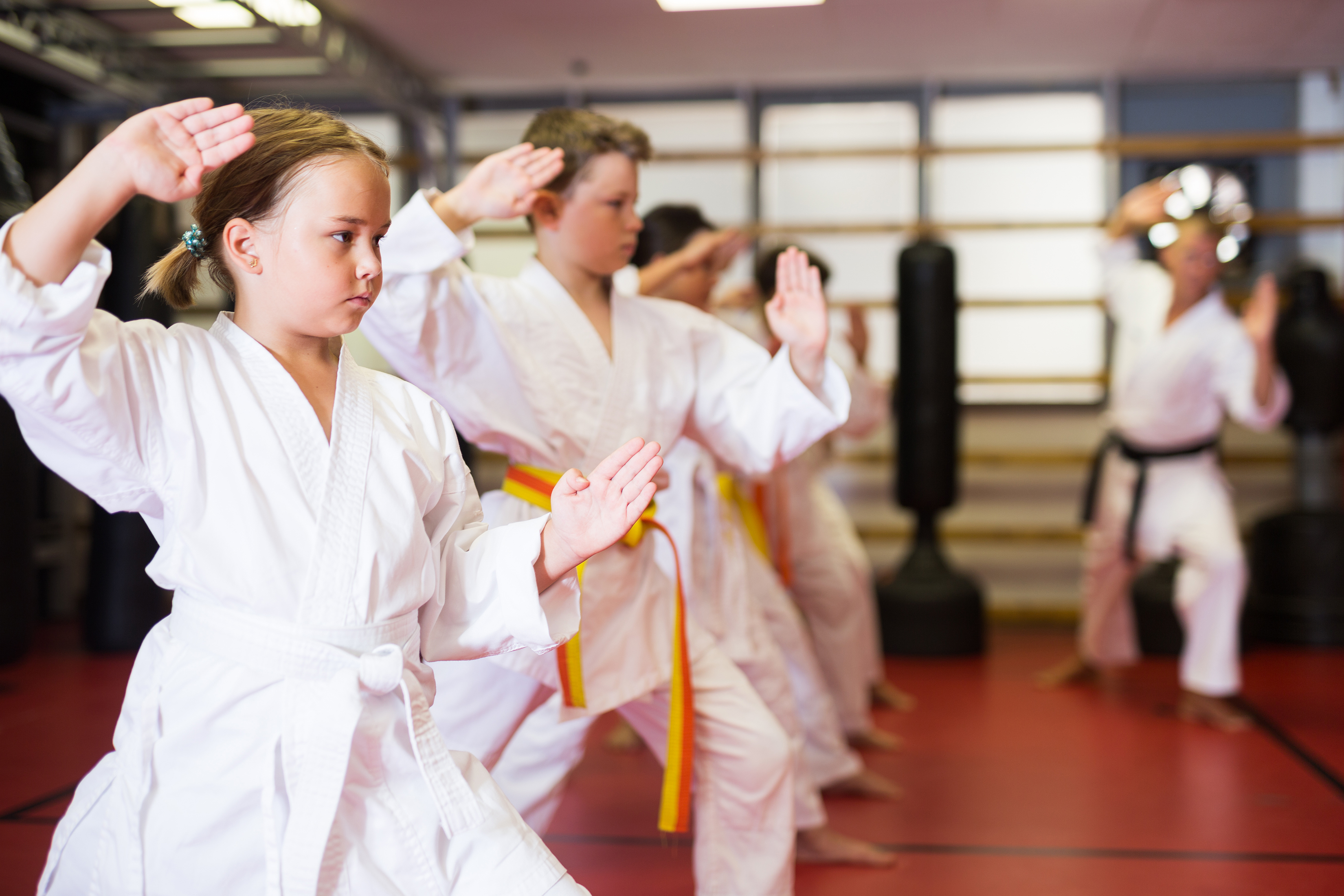 Karate training session at the dojo