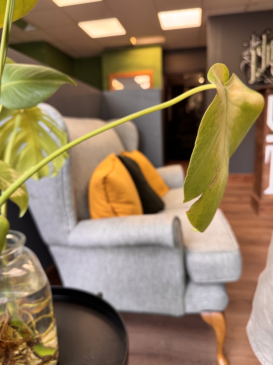 The Chamber Tattoo Studio waiting area, Cheadle Hulme Manchester