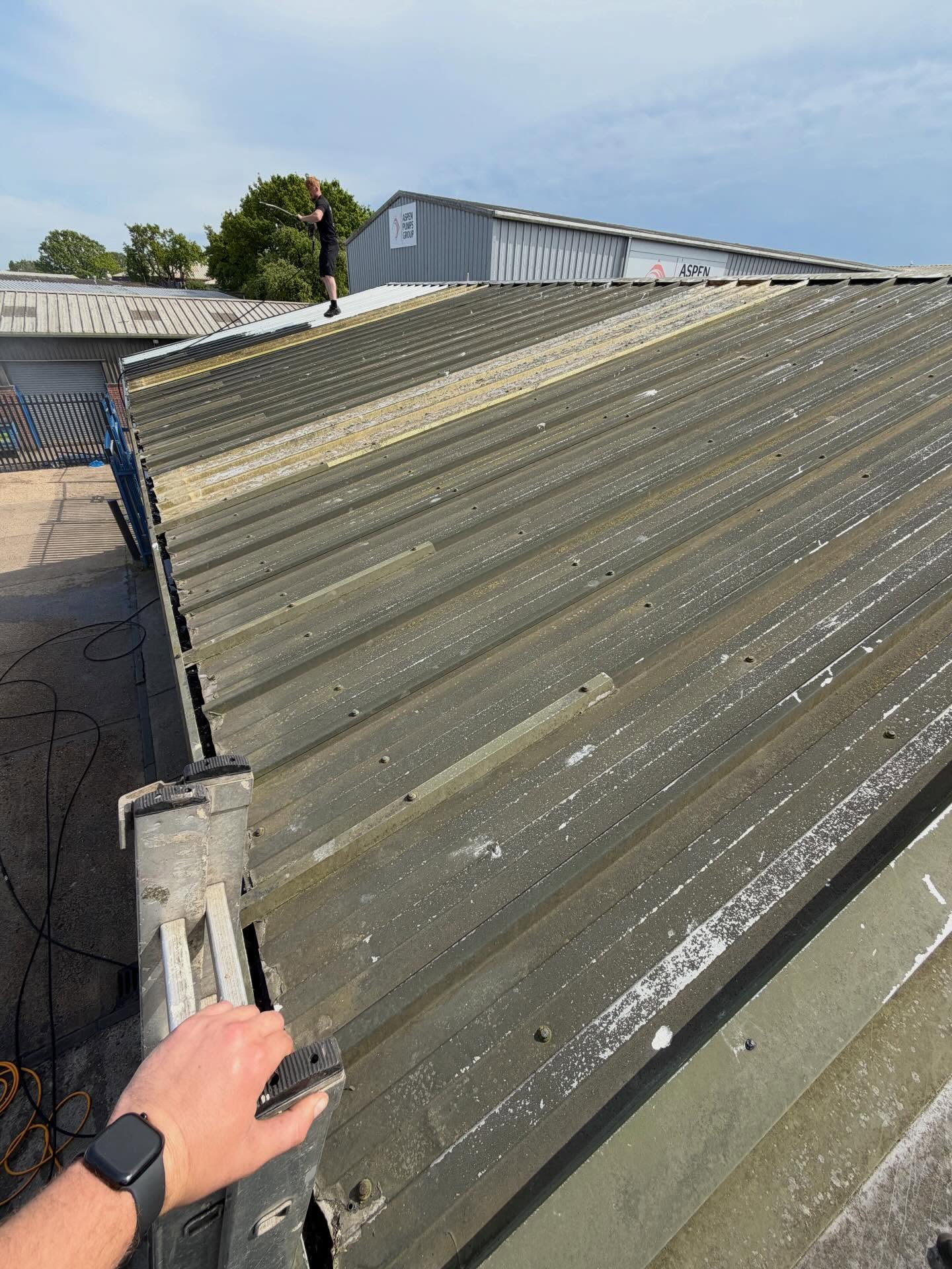 Roof before moss removal and roof cleaning in Hastings