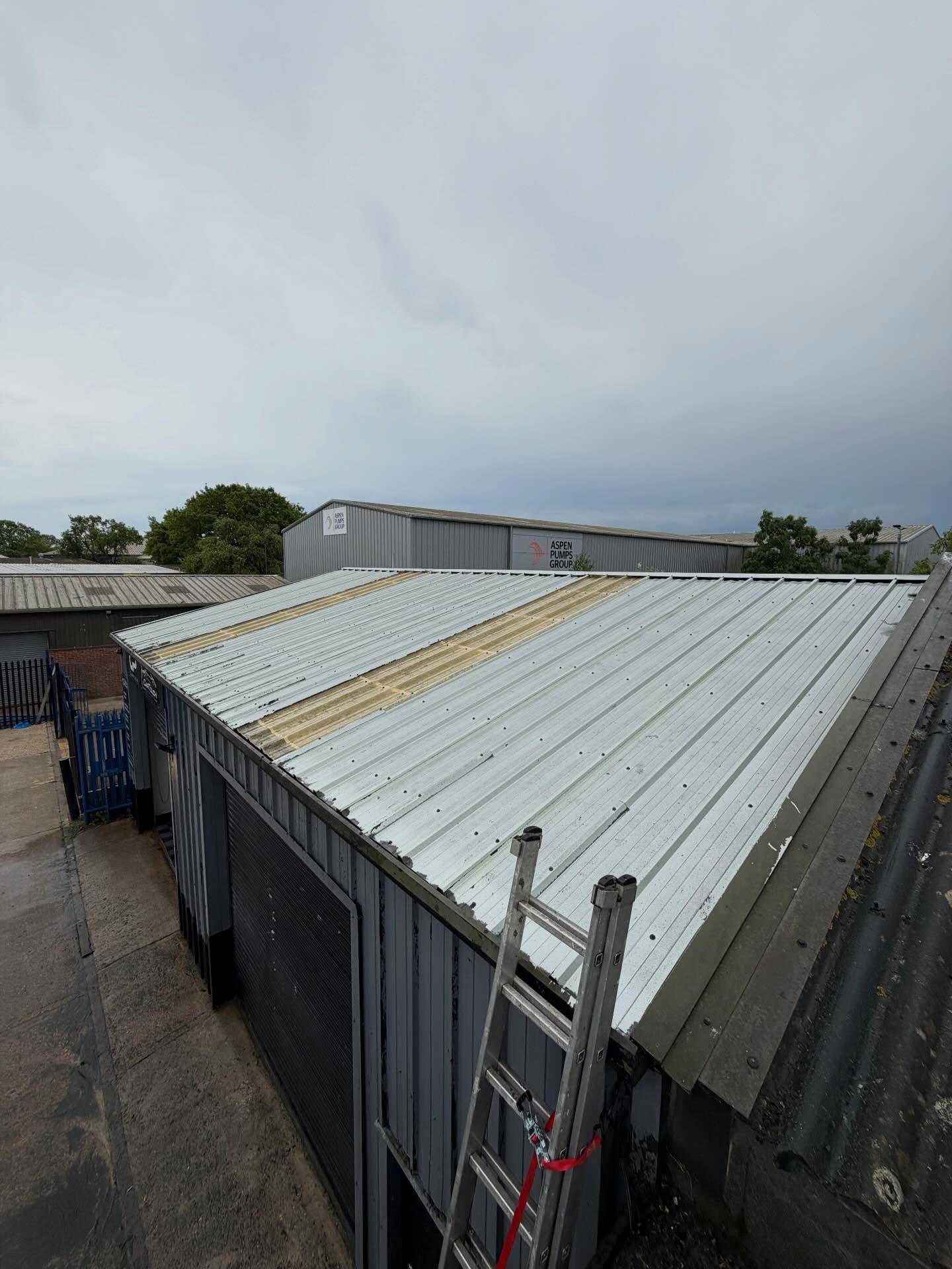 Professional roof cleaning and moss removal completed by Weeks Exterior Cleaning in Hastings