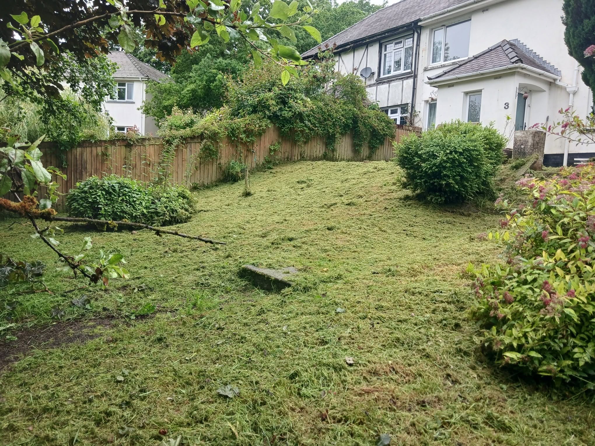 Garden in Cardiff after professional clearance and maintenance by Valleys Edge
