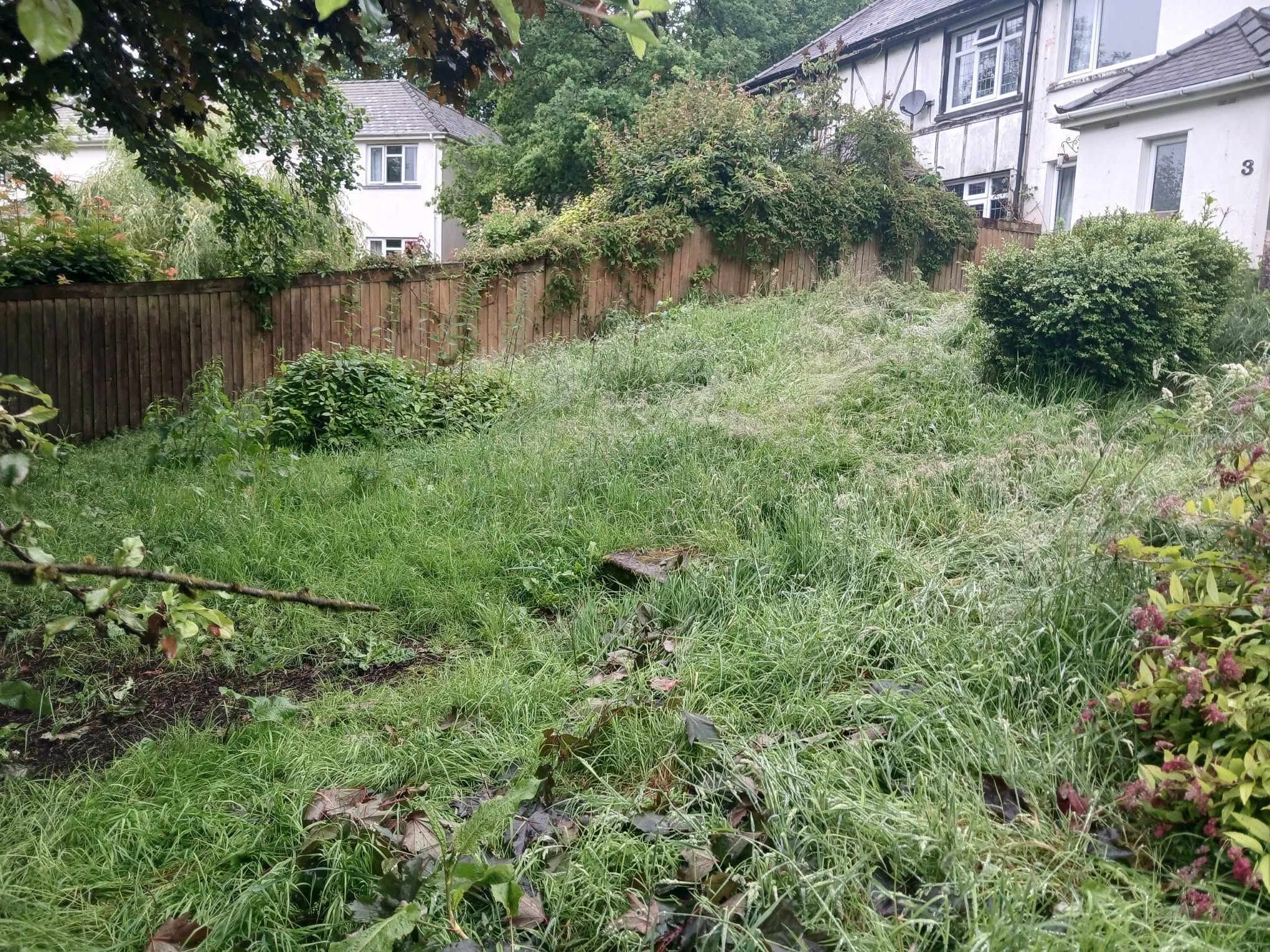 Overgrown garden in Cardiff before professional garden maintenance by Valleys Edge
