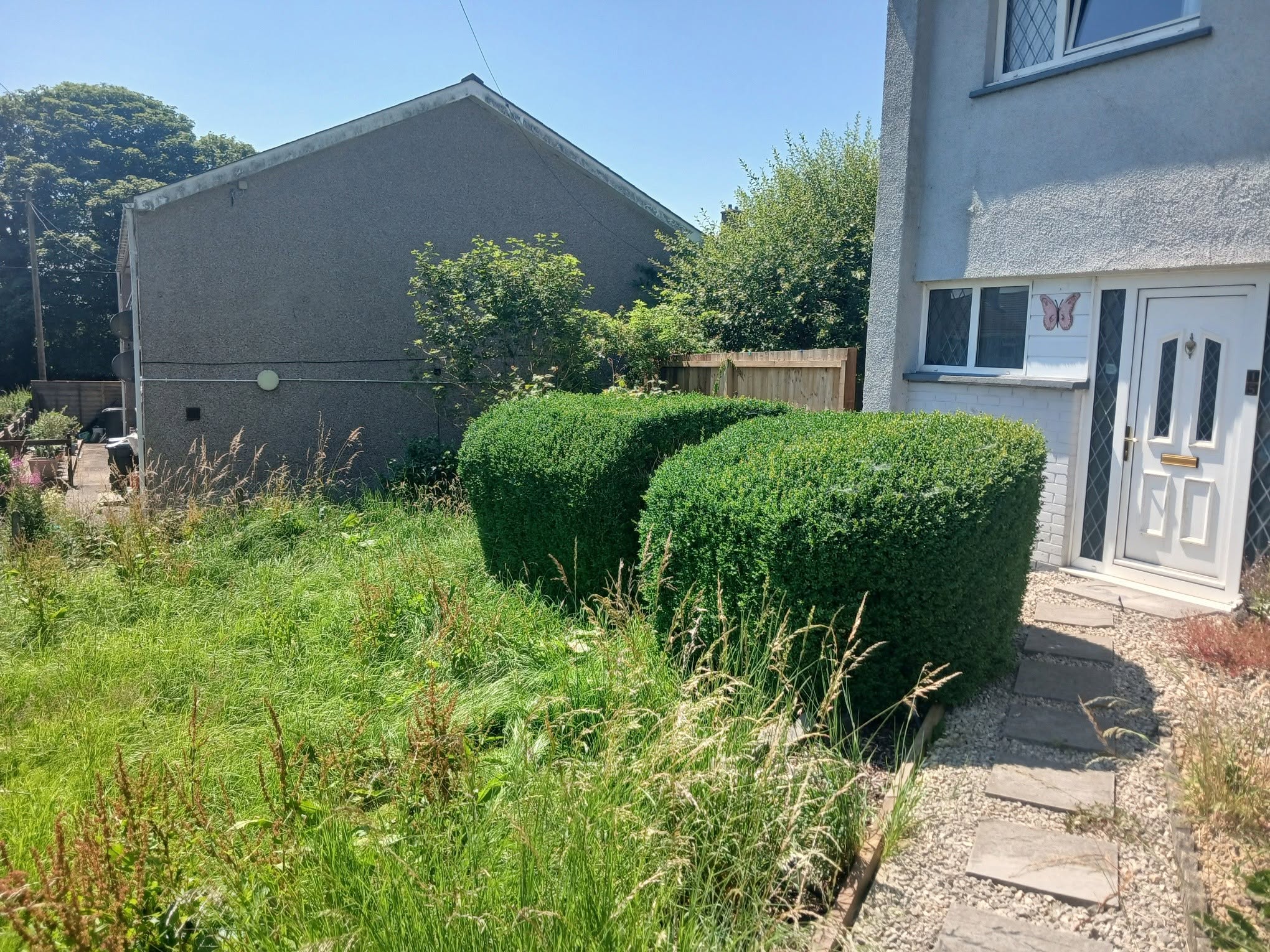 Overgrown front garden before professional hedge trimming by Valleys Edge in Cardiff
