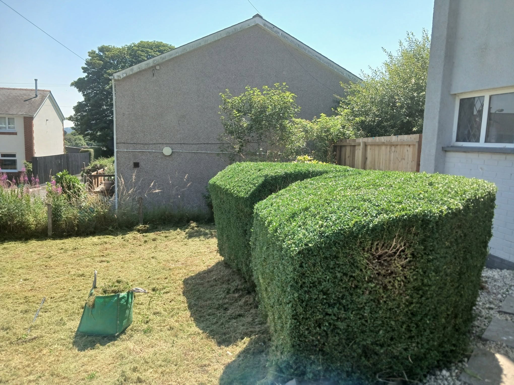 Front garden after hedge trimming and professional maintenance by Valleys Edge in Cardiff