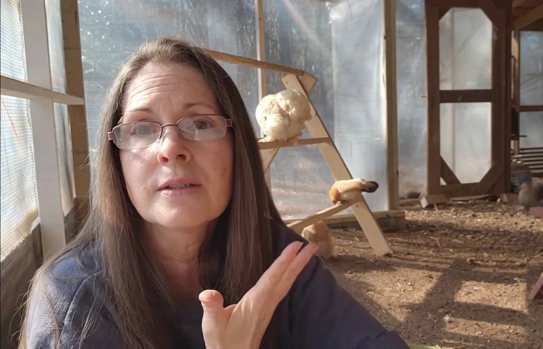 Donna Little talking inside her coop with bantams perched on the roost ladder behind her Donna Little talking inside her coop with bantams perched on the roost ladder behind her