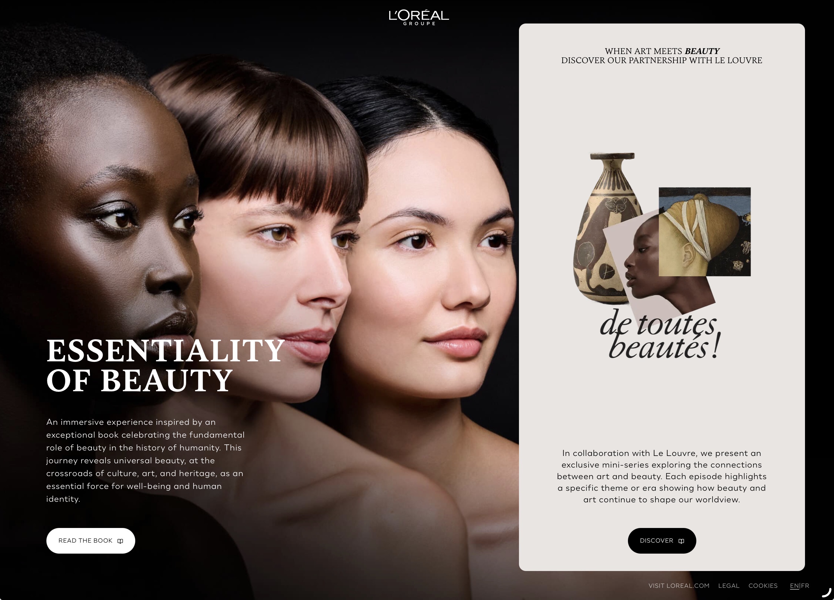Cloned Website 6