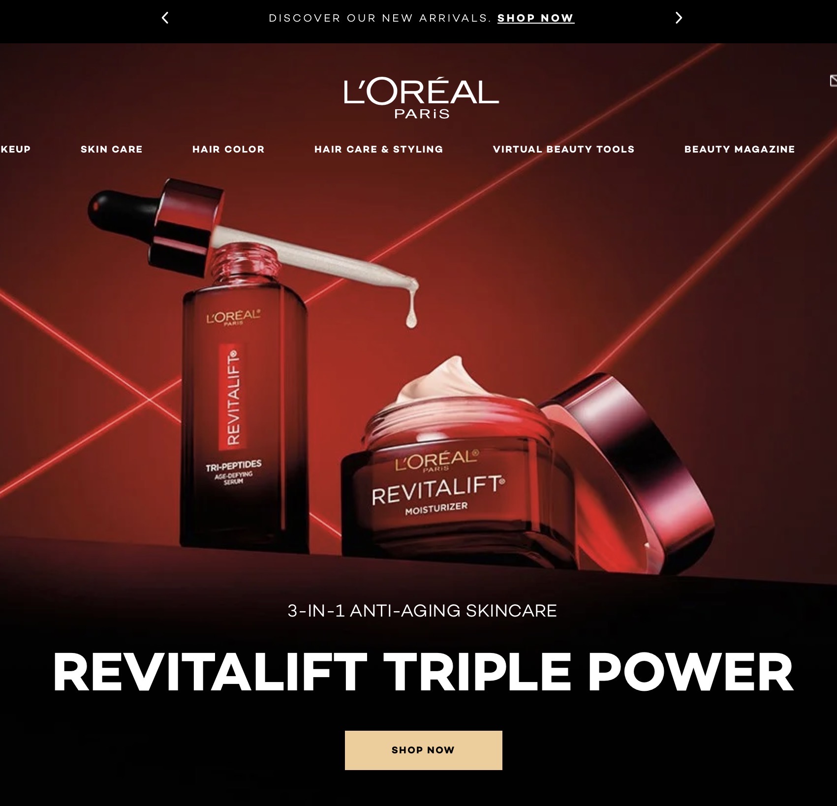 Cloned Website 3
