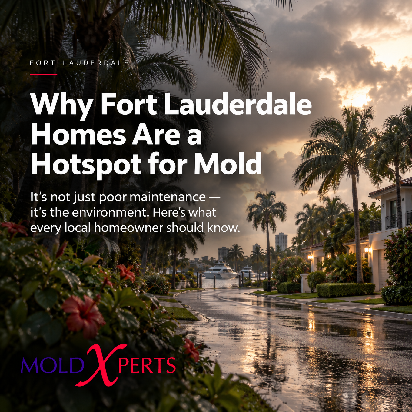 Why Ft. Lauderdale Homes Are a Hot Spot For Mold — carousel slide 1