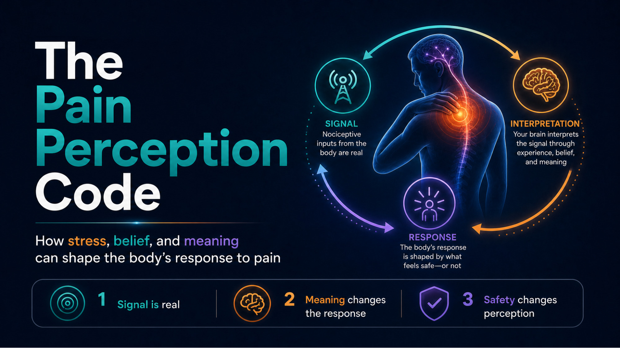 Hero infographic — "The Pain Perception Code" title graphic