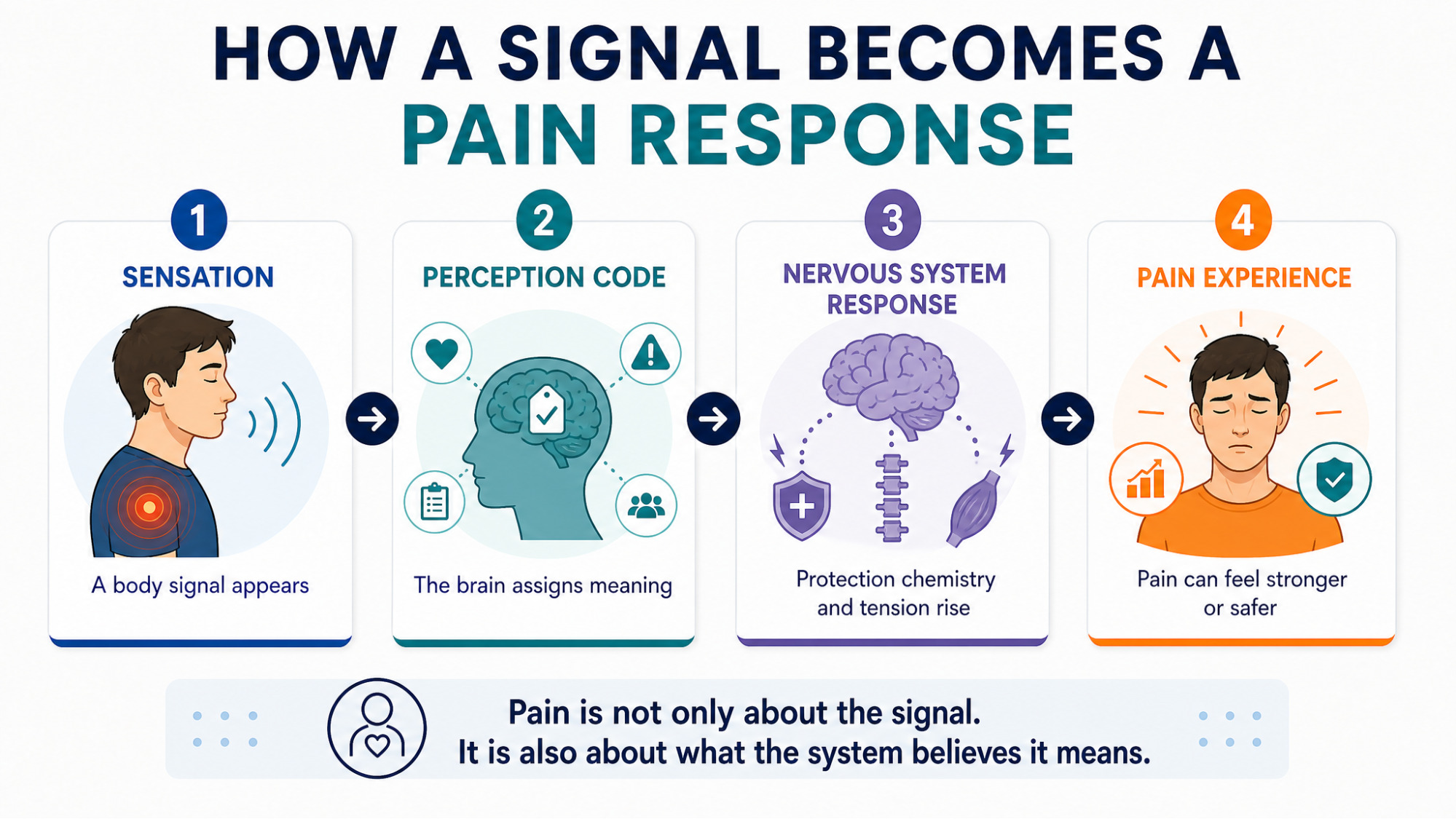 4-step infographic — "How a Signal Becomes a Pain Response" (Sensation → Perception Code → Nervous System Response → Pain Experience)