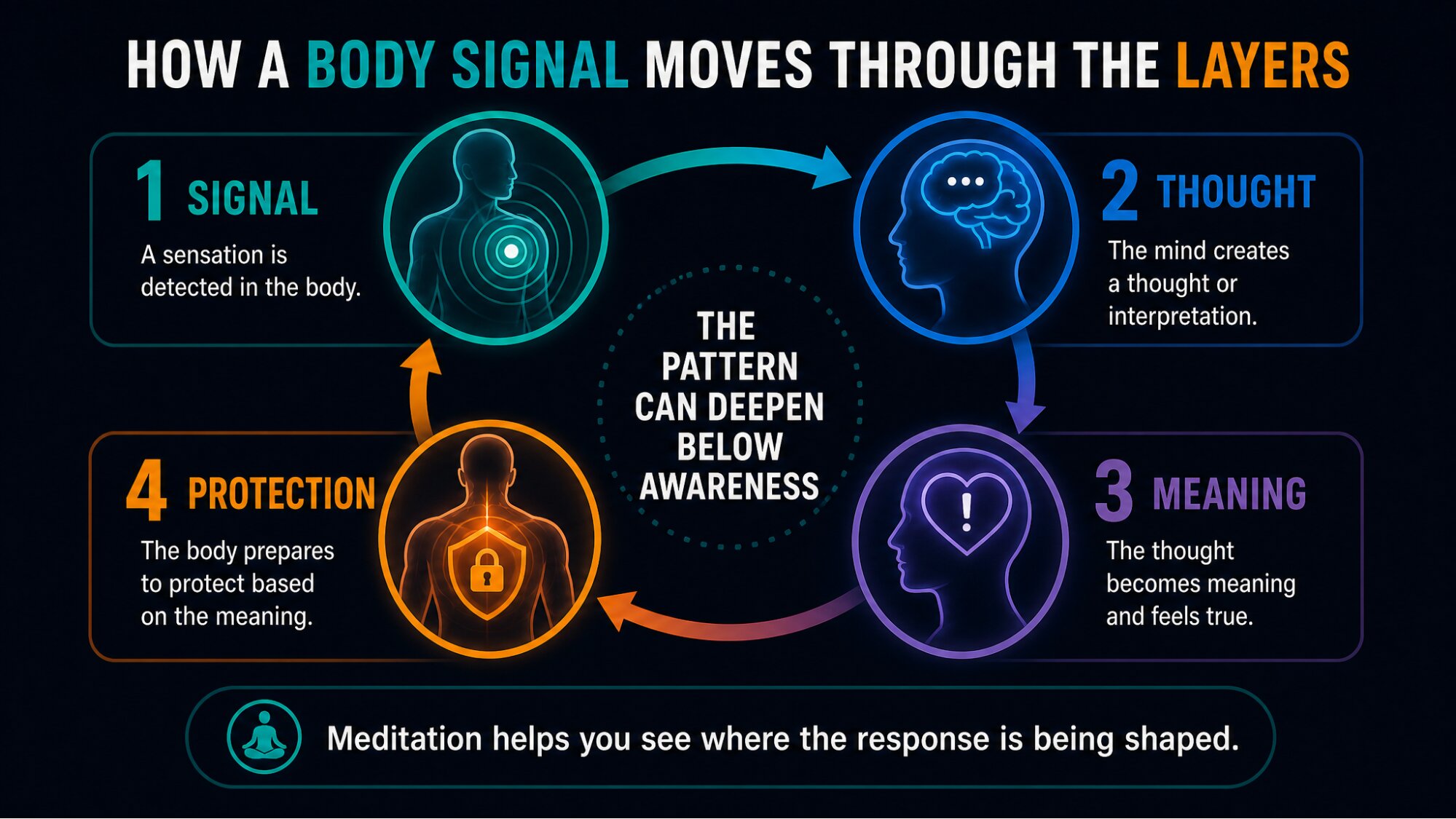 "How a Body Signal Moves Through the Layers" diagram
