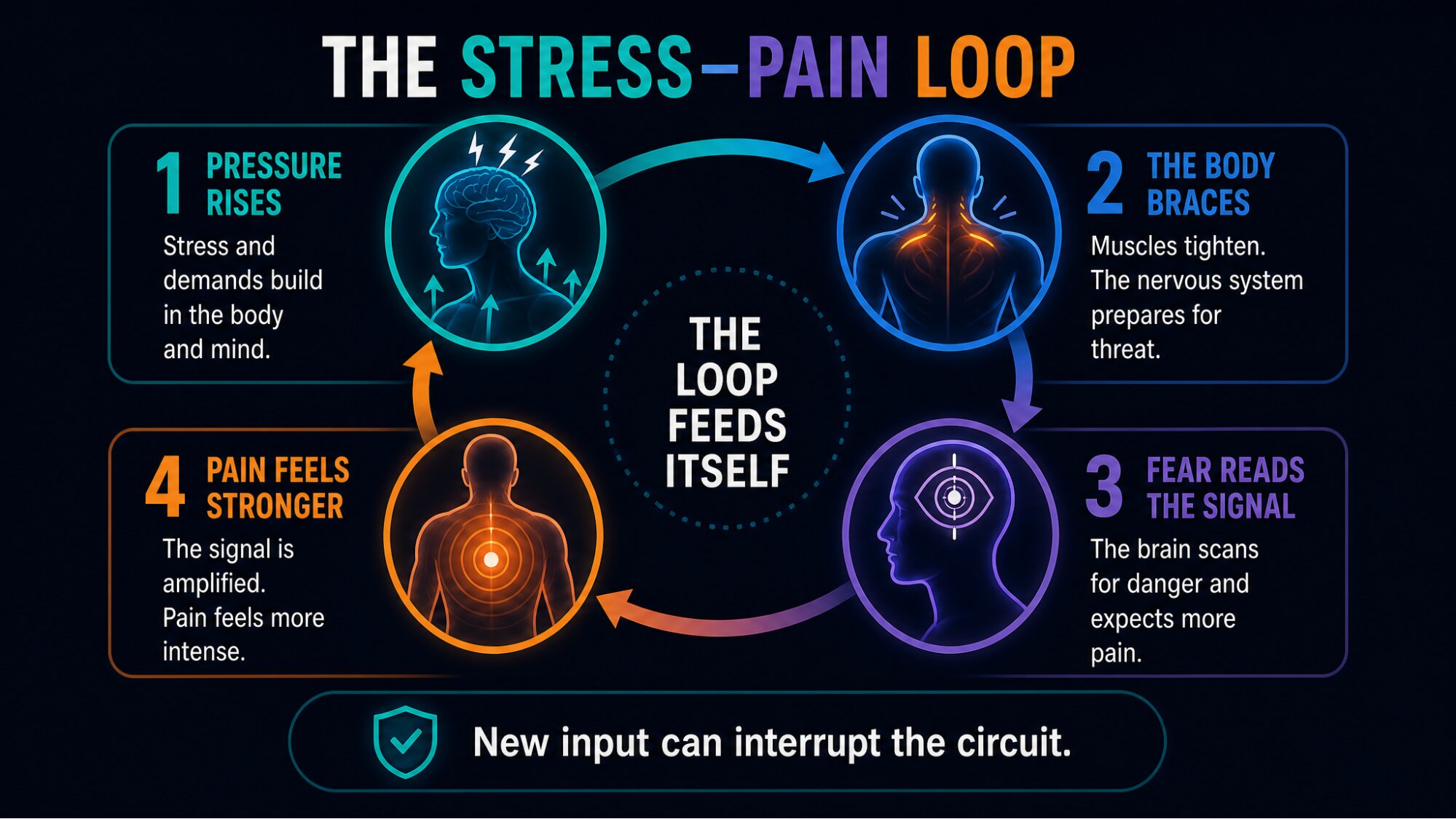 Diagram — The Stress-Pain Loop: Pressure Rises, Body Braces, Fear Reads the Signal, Pain Feels Stronger