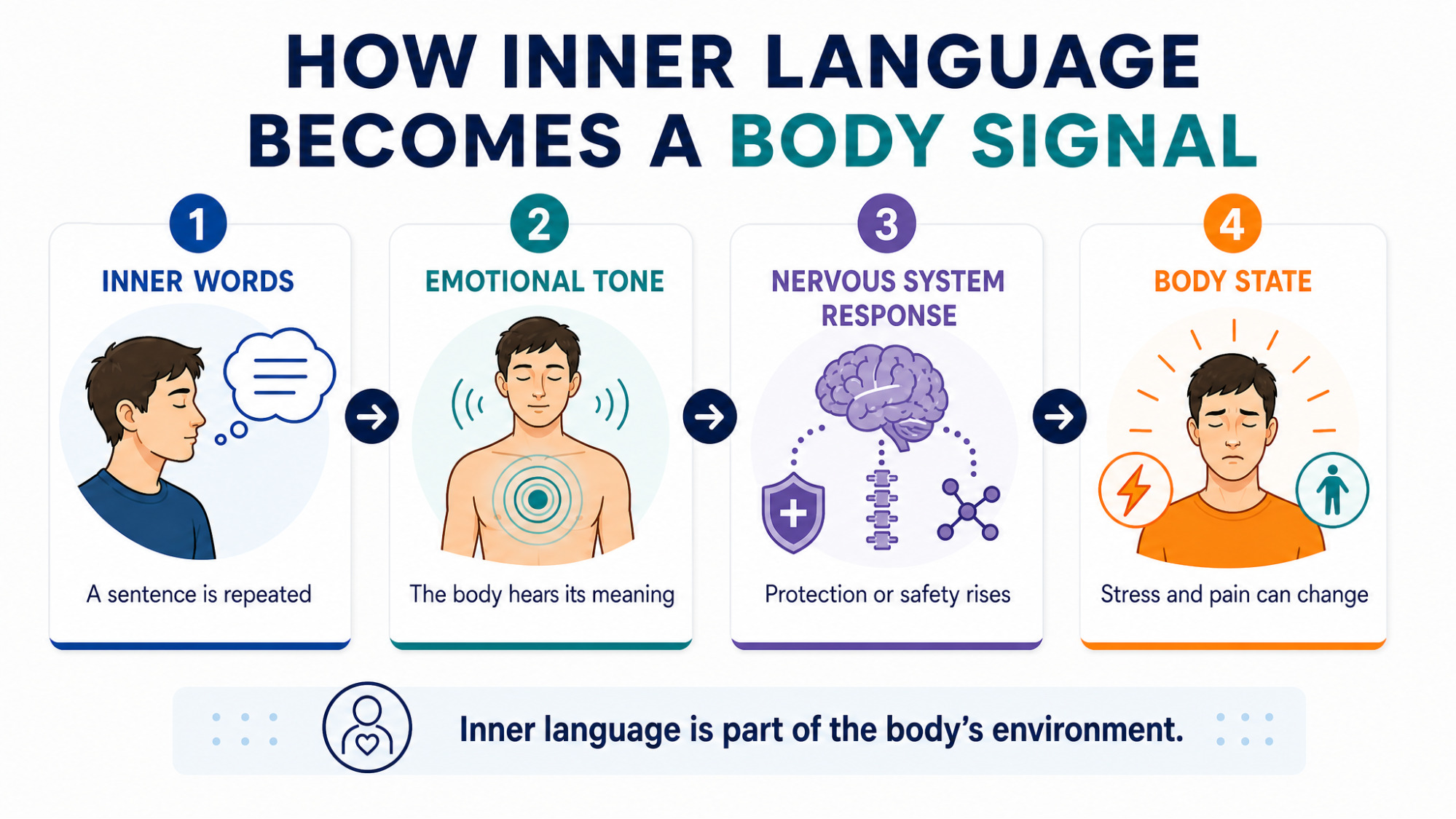 Infographic — "How Inner Language Becomes a Body Signal": 4-step diagram on white background, 4 numbered icons in a row (1 Inner Words, 2 Emotional Tone, 3 Nervous System Response, 4 Body State), each with a short caption underneath, arrows connecting the steps, footer line: "Inner language is part of the body's environment."