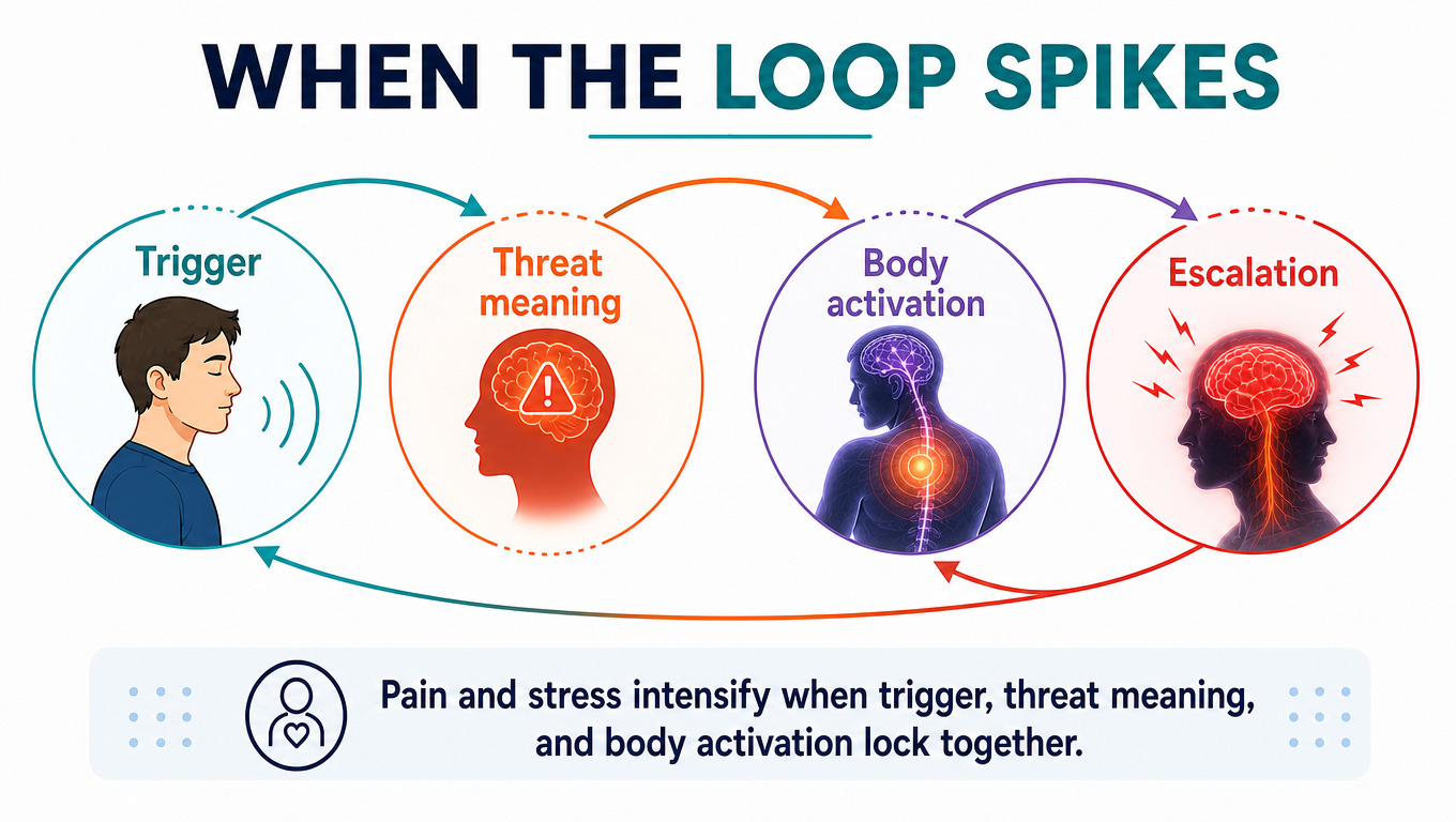 IMAGE 1 PLACEHOLDER: "When the Loop Spikes" 4-step cycle diagram (Trigger → Threat Meaning → Body Activation → Escalation) + "In the Spike, Shift This" 4-step graphic (Interruption, Agency, Pacing, Influence)