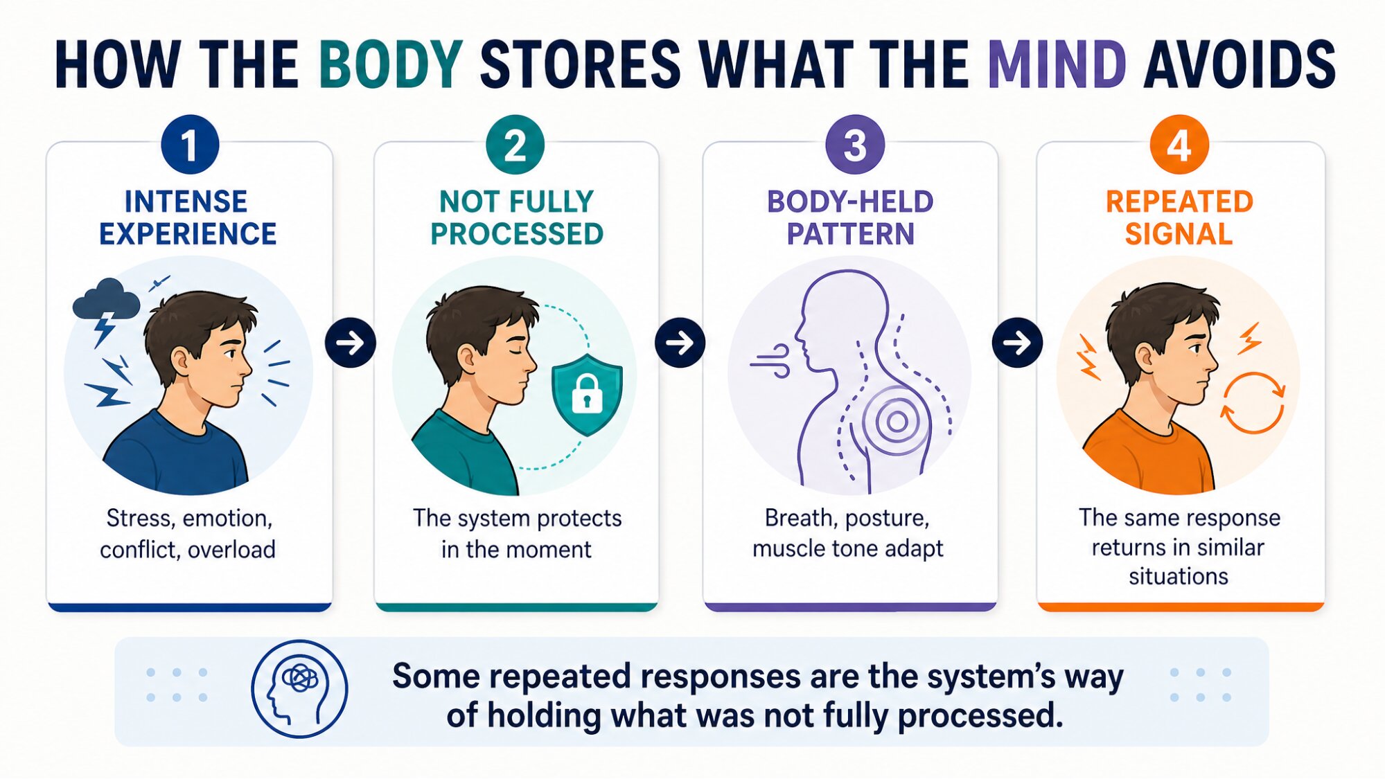 IMAGE PLACEHOLDER: "How the Body Stores What the Mind Avoids" 4-step graphic: 1. Intense Experience 2. Not Fully Processed (system stuck in the moment) 3. Body-Held Pattern (breath, posture, muscle tone adapt) 4. Repeated Signal (same response returns in similar situations). Caption: "Some repeated responses are the system's way of holding what was not fully processed."
