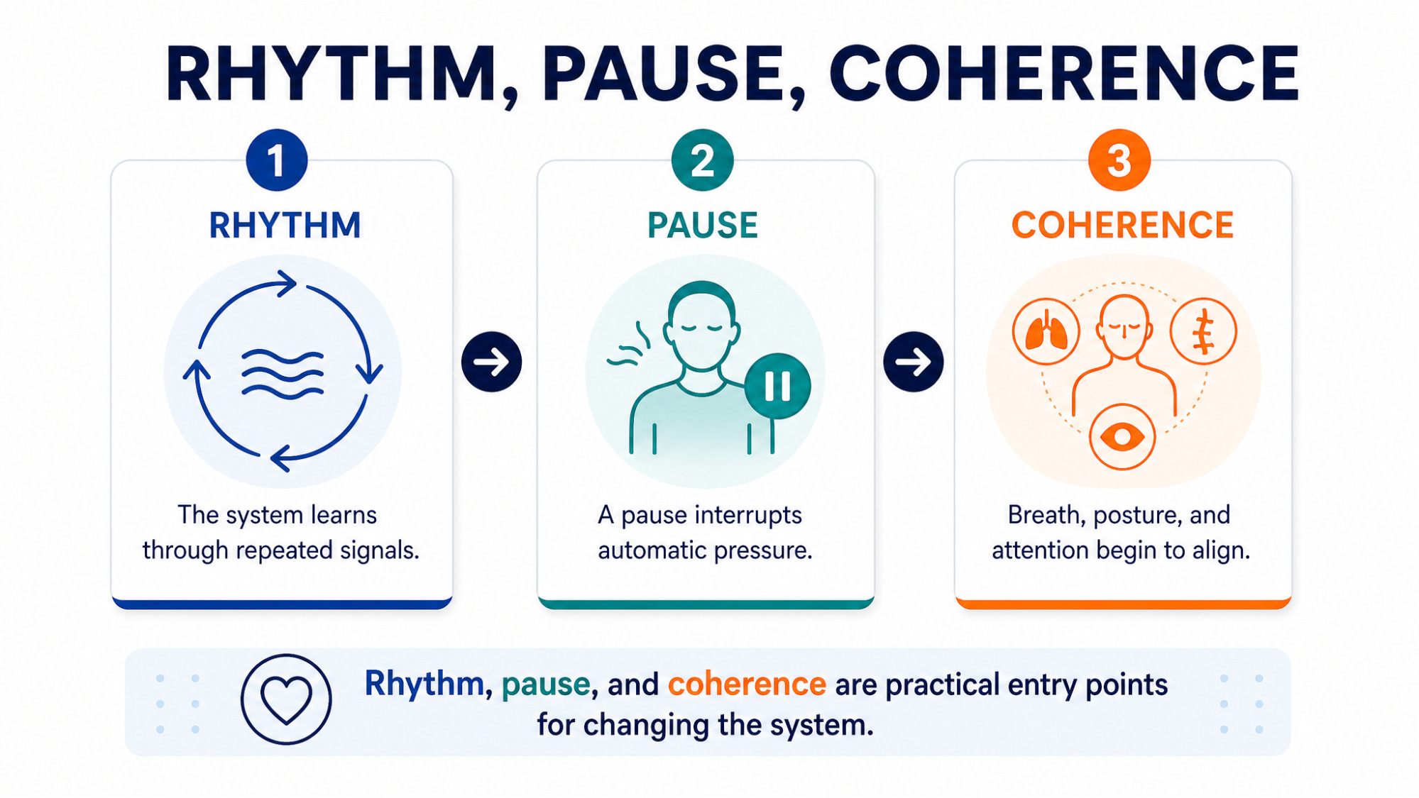 RHYTHM, PAUSE, COHERENCE GRAPHIC — 3-step graphic: Rhythm, Pause, Coherence — practical entry points for changing how the nervous system responds under pressure