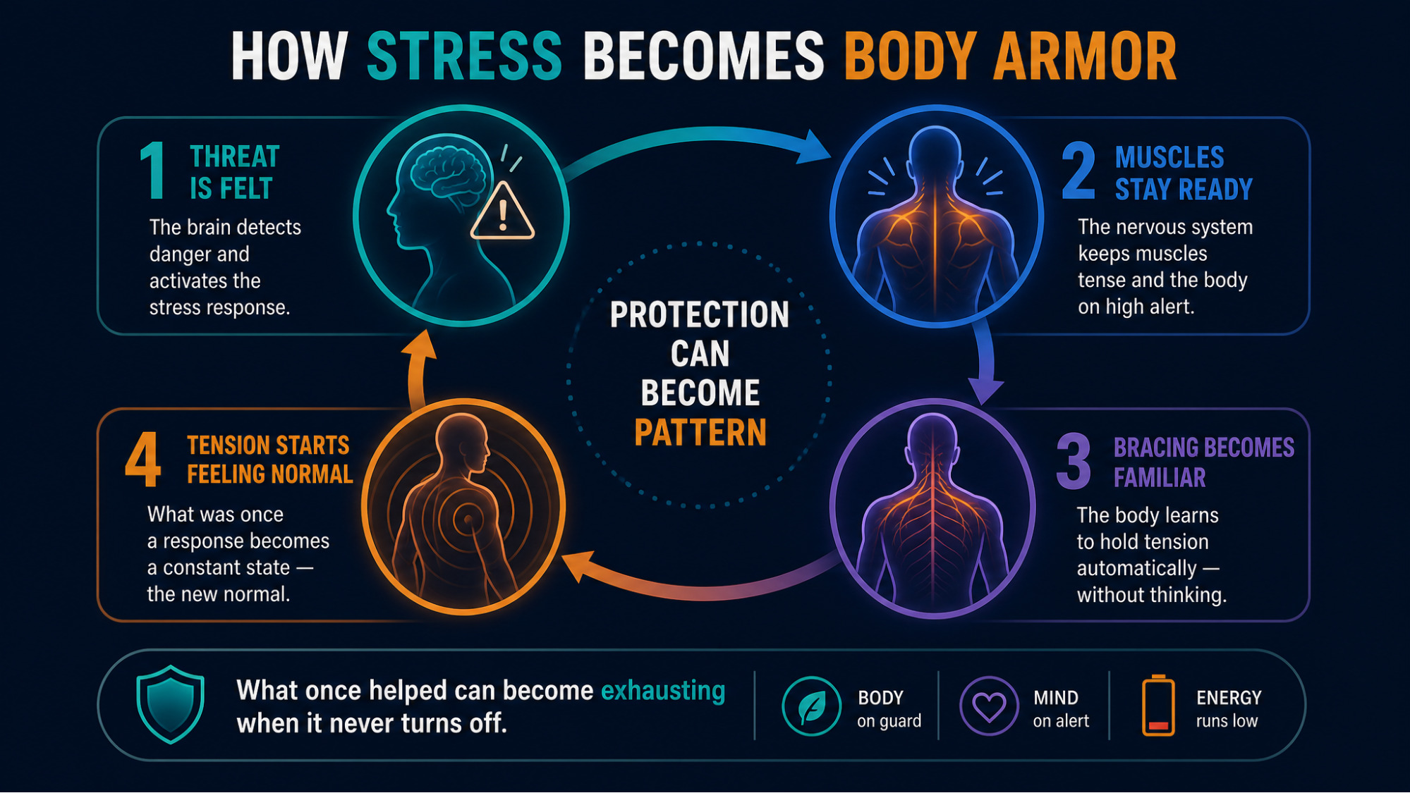 IMAGE SLOT 2 — Overview: Protection to Armor to Retraining — Diagram showing the arc from useful protection, to learned body armor, to retraining through safety signals