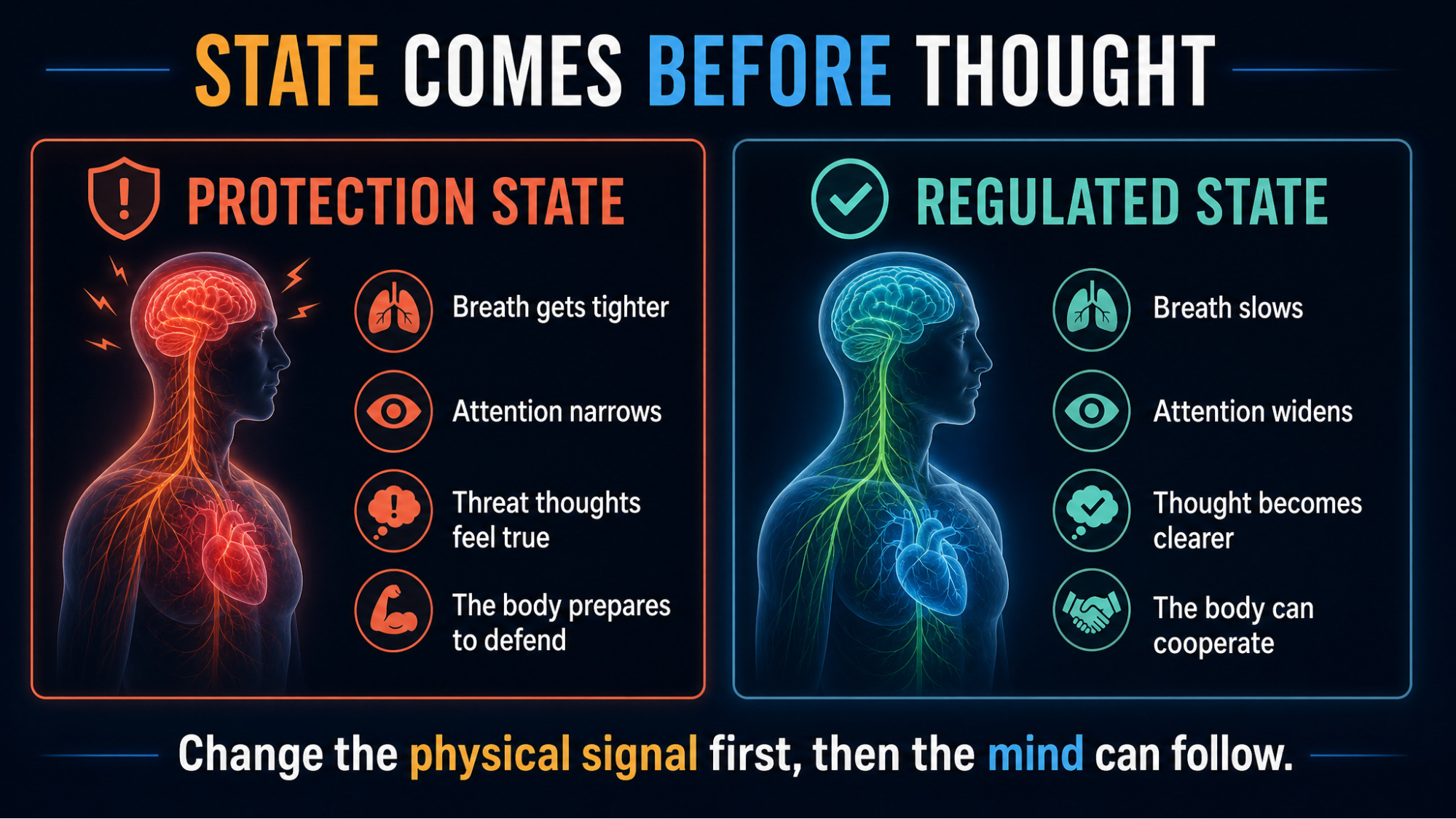 IMAGE SLOT 3 — Protection State vs Regulated State — Side-by-side comparison of a nervous system in a protection state versus a regulated state